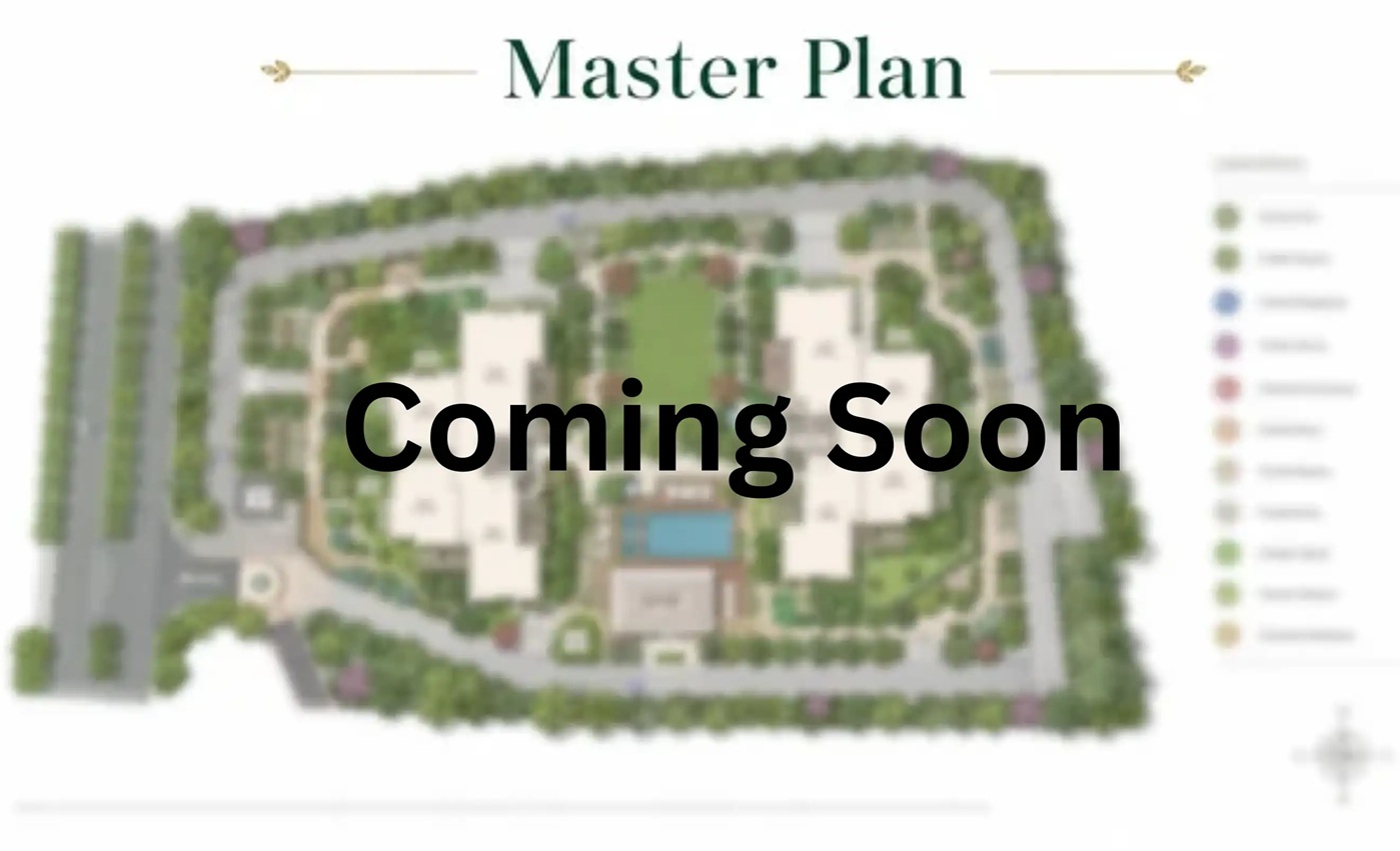 Master-pln